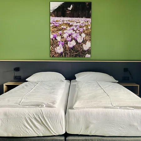 Simader 바트 가슈타인